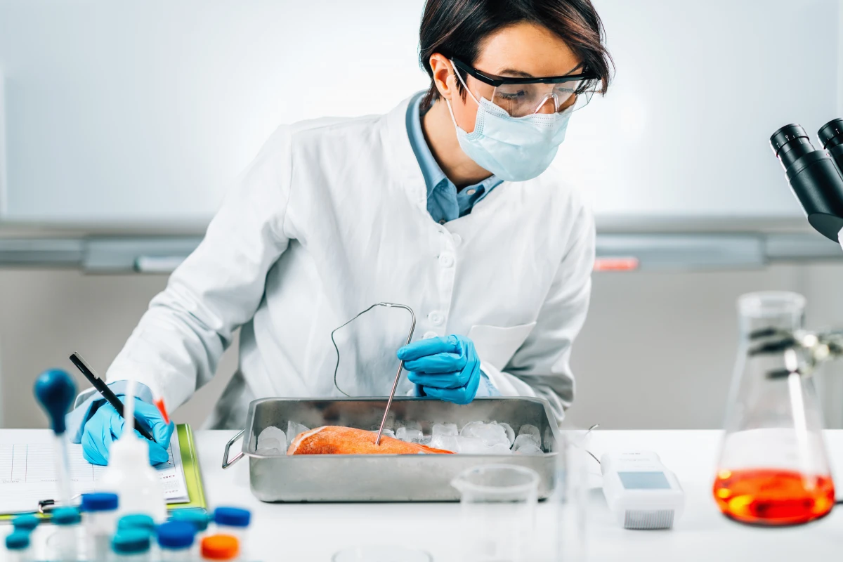 Les obligations légales des producteurs en matière de sécurité alimentaire