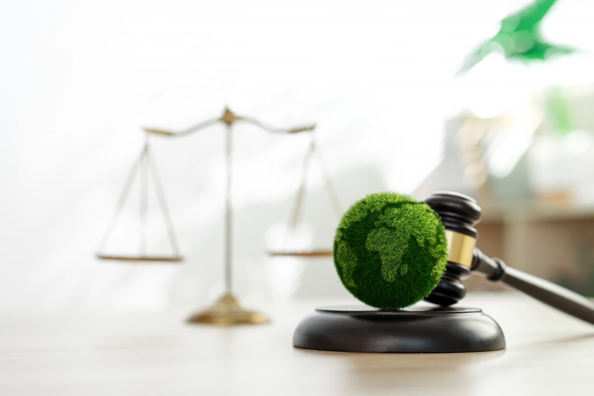 Droit immobilier et protection de l'environnement : quelles obligations légales ?