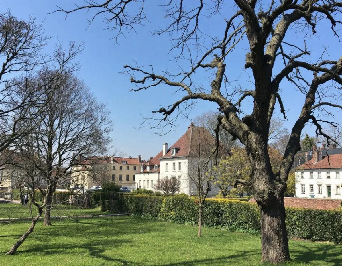 L'Évolution Jurisprudentielle : Transformations Majeures du Droit Immobilier